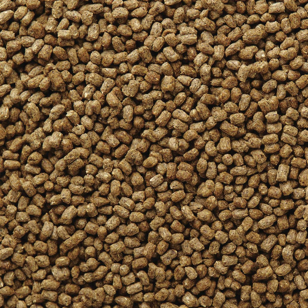 Hedgehog Food U84935