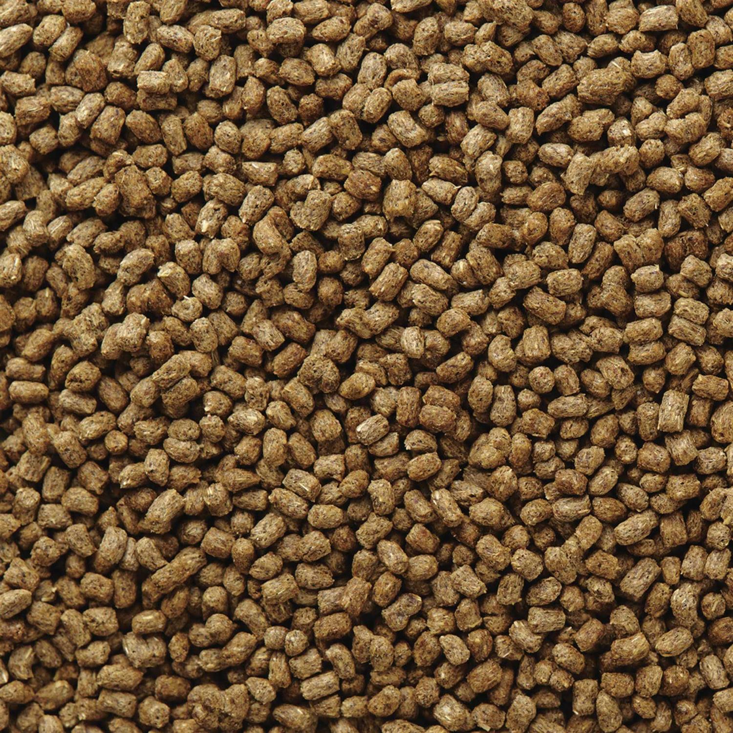 Hedgehog Food U84935