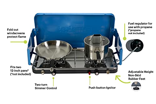 Portable 2-Burner Propane Camping Stove H549968