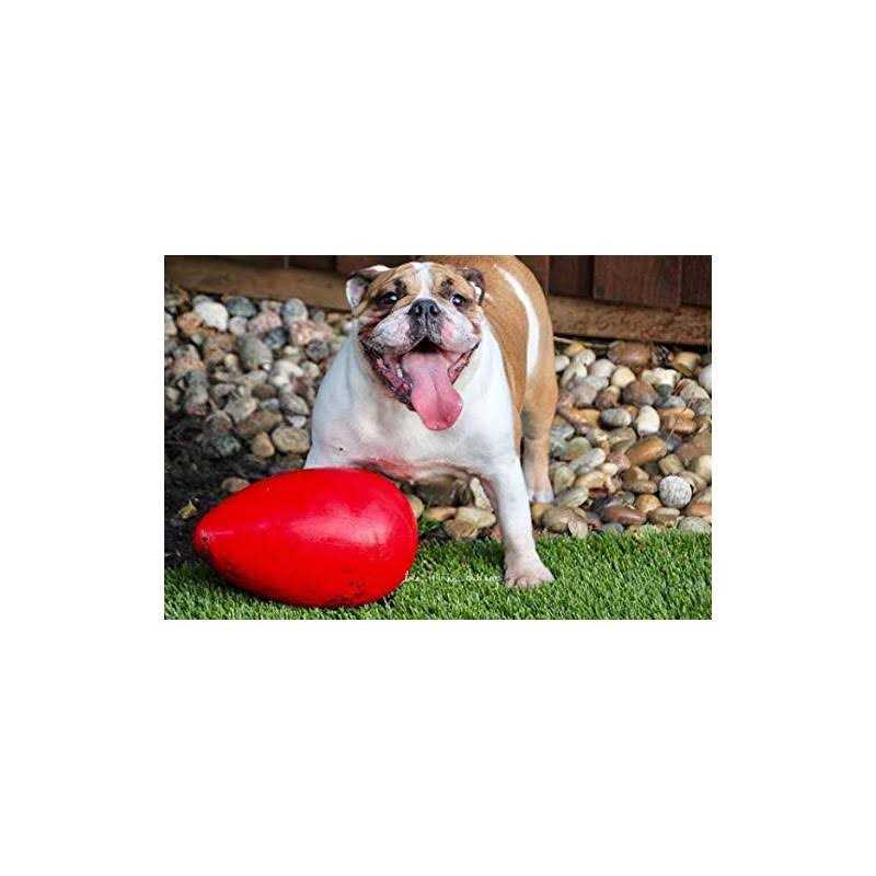 Jolly Egg Pet Toy S316957