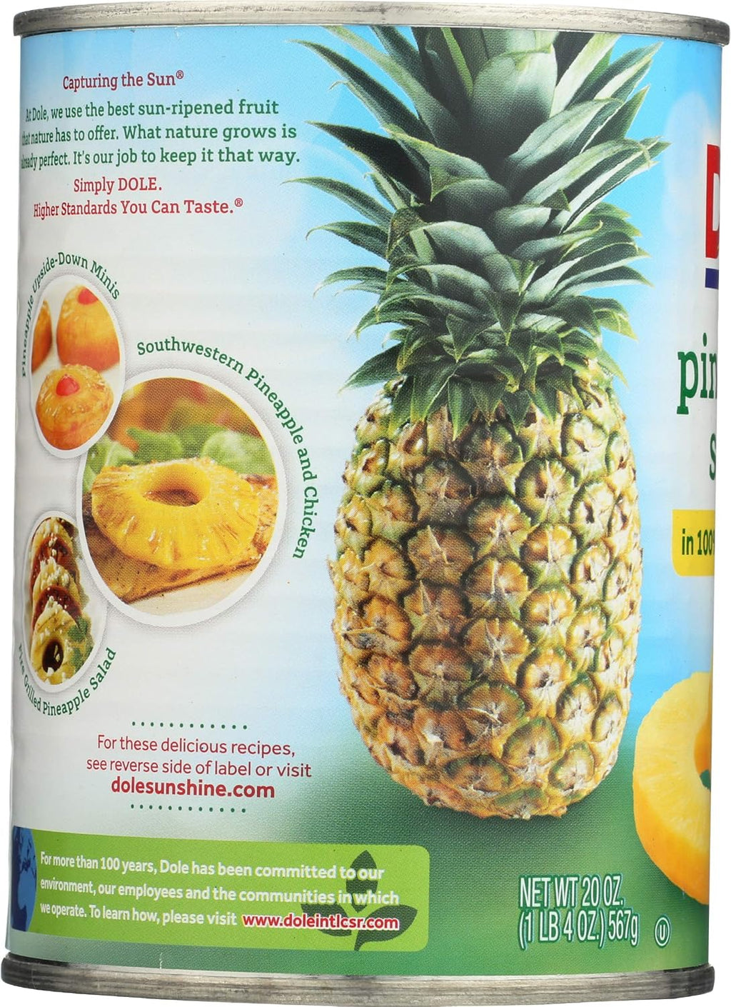 Pineapple Slices in 100% Pineapple Juice 20 oz (Pack of 12) B5851