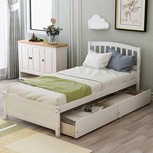 Twin Size Solid Wood Platform Bed with 2 Storage Drawers G506048