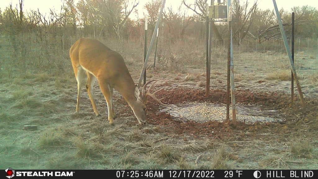 32MP 1080P Video Trail Camera with Security Box J904