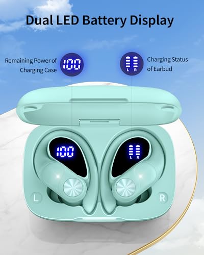 Black Bluetooth Wireless Earbuds with Earhook L5911
