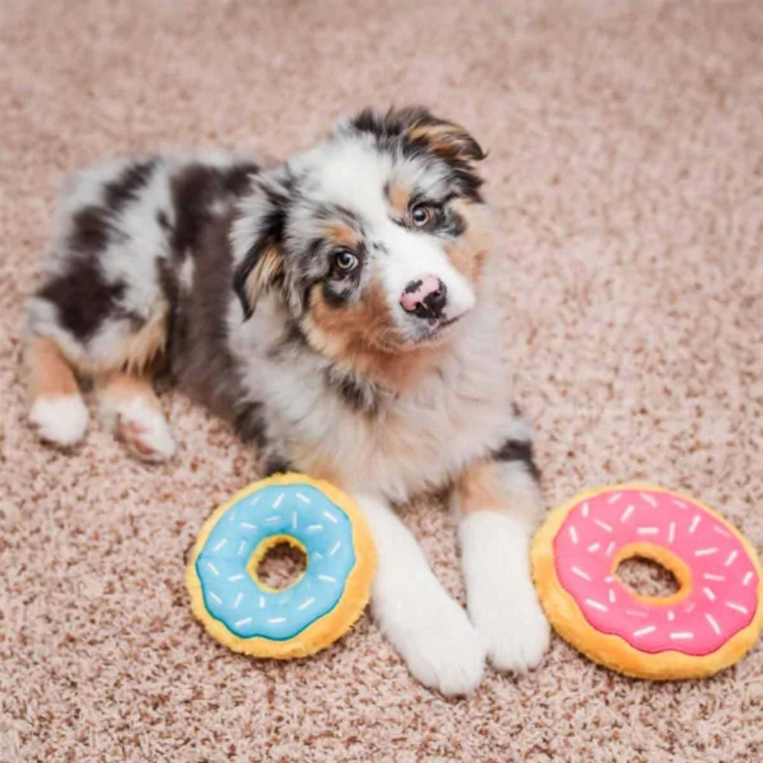 Donutz Dog Toy C45985