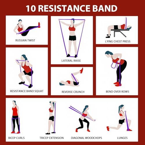 Resistance Bands Set with Handles and Door Anchor C5396