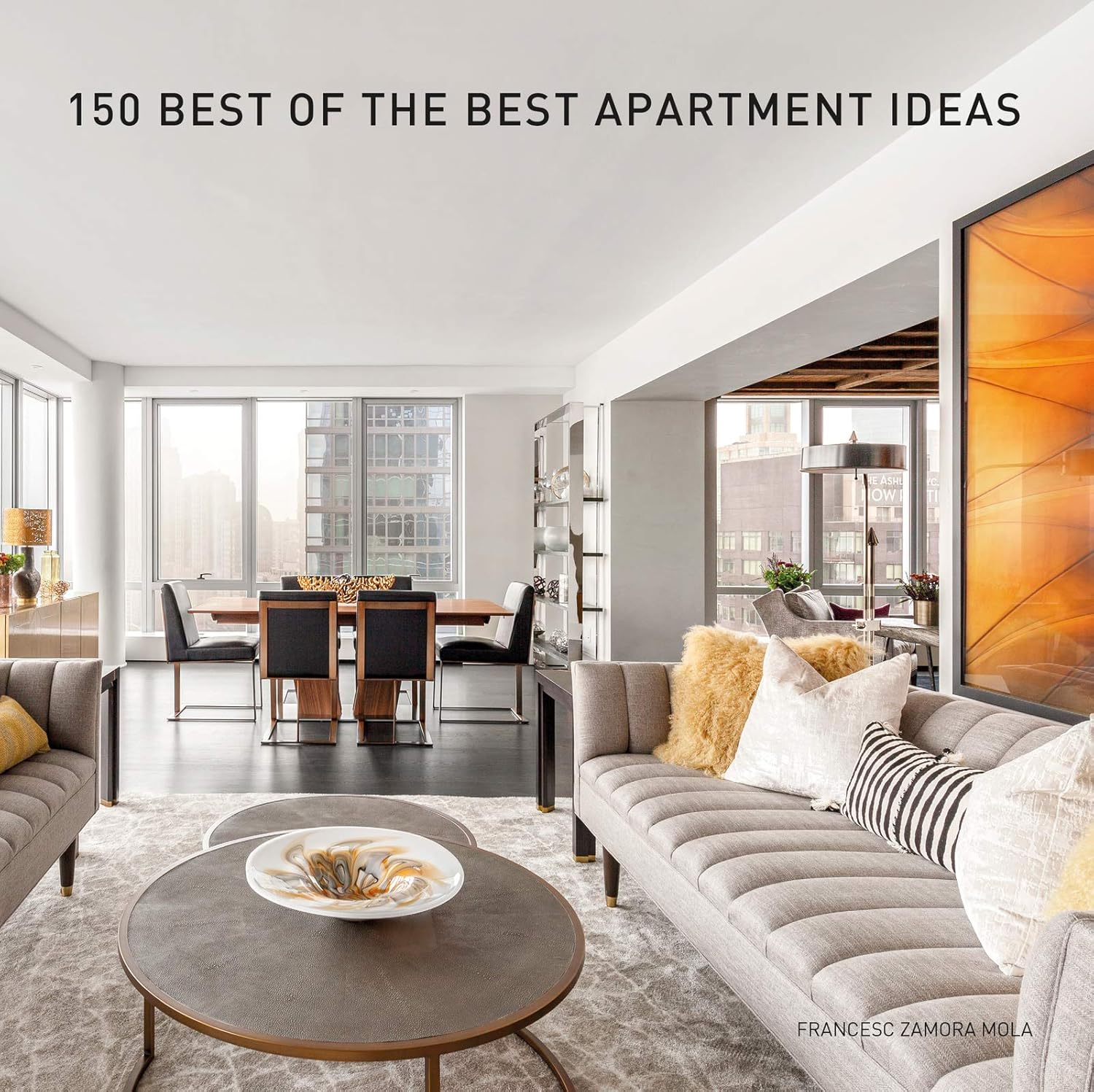 Apartment Ideas B17876