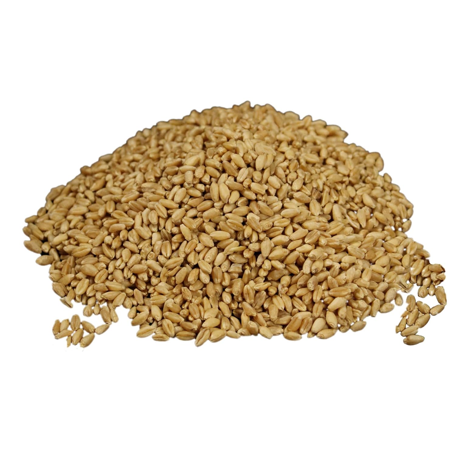 Soft White Wheat Berries 23 lbs T70495