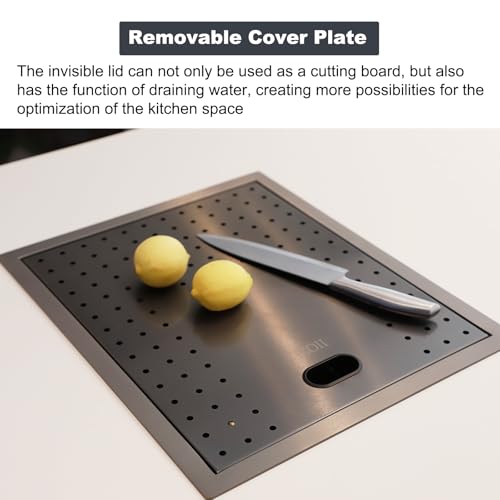 Black 17.32×14.17×7.87 Inch Single Bowl Kitchen Sink with Faucet and Stainless Steel Cover Plate U739