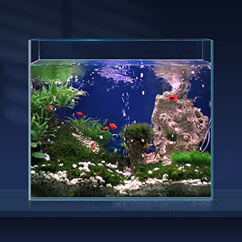 3 Gallon Rimless Low Iron Glass Fish Tank with Fish Net & Cleaning Tools H225370