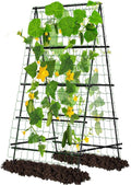 A-Frame Garden Trellis with Plant Support Clips M2253