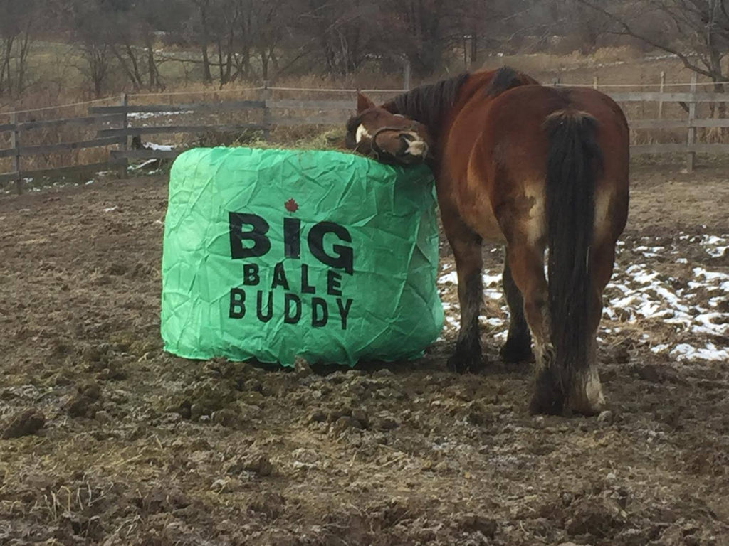 Xlarge Green Round Bale P442