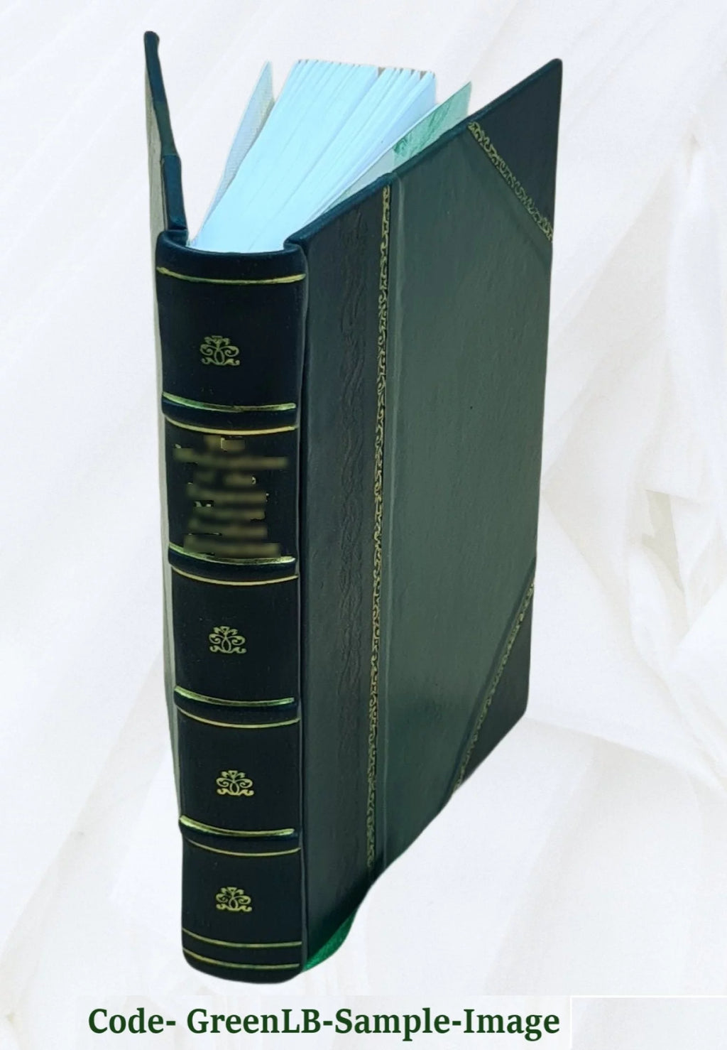 Leather Bound Book C811