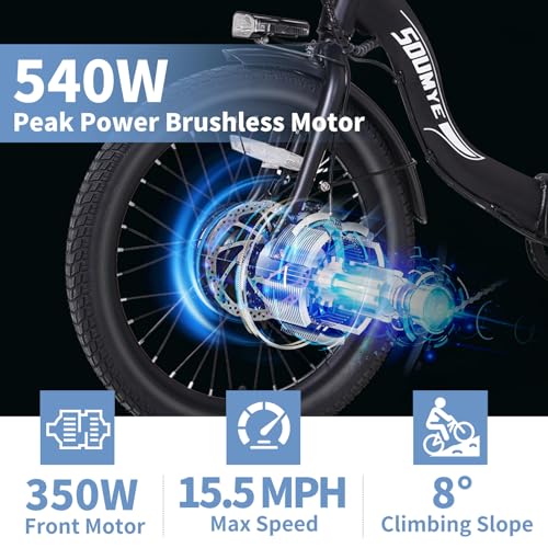 Electric Tricycle 20" 3 Wheels Folding 350W Step-Thru Removable Battery D546434