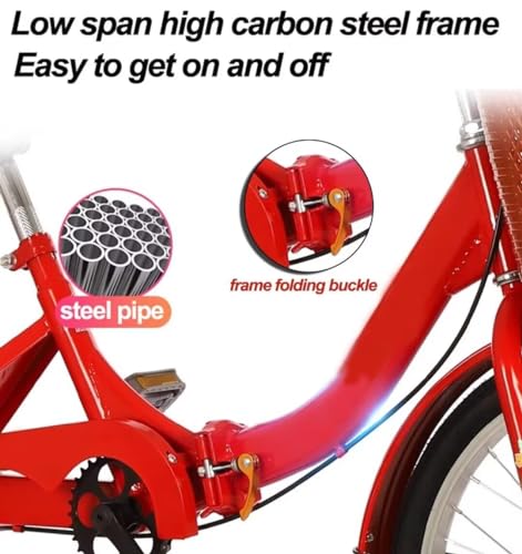 Folding Adult Tricycle with Back Seat, 3 Wheels G600513