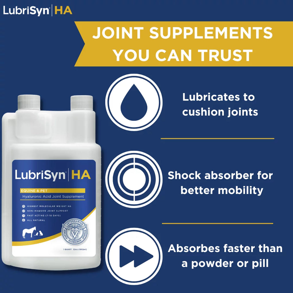 32 oz Joint Supplement P397797