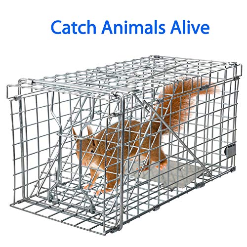 Heavy Duty Live Animal Trap I134