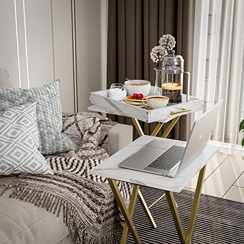 Set of 2 Folding TV Tray Tables with Removable Serving Tray E8945