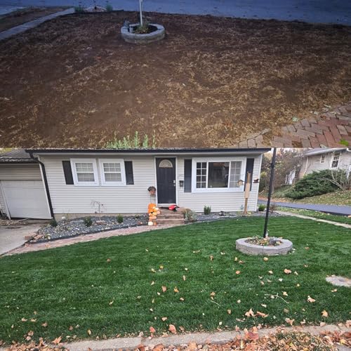 Turf Type Tall Fescue Grass Seed (10 lbs) J742888