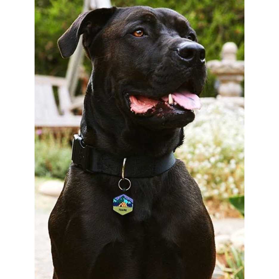 Silicone Dog ID Tag E672