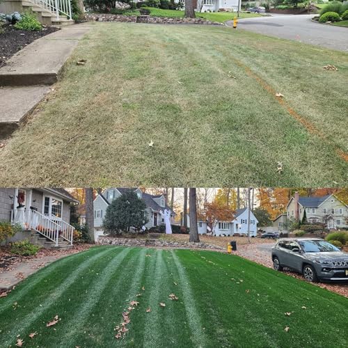 Turf Type Tall Fescue Grass Seed (10 lbs) J742888