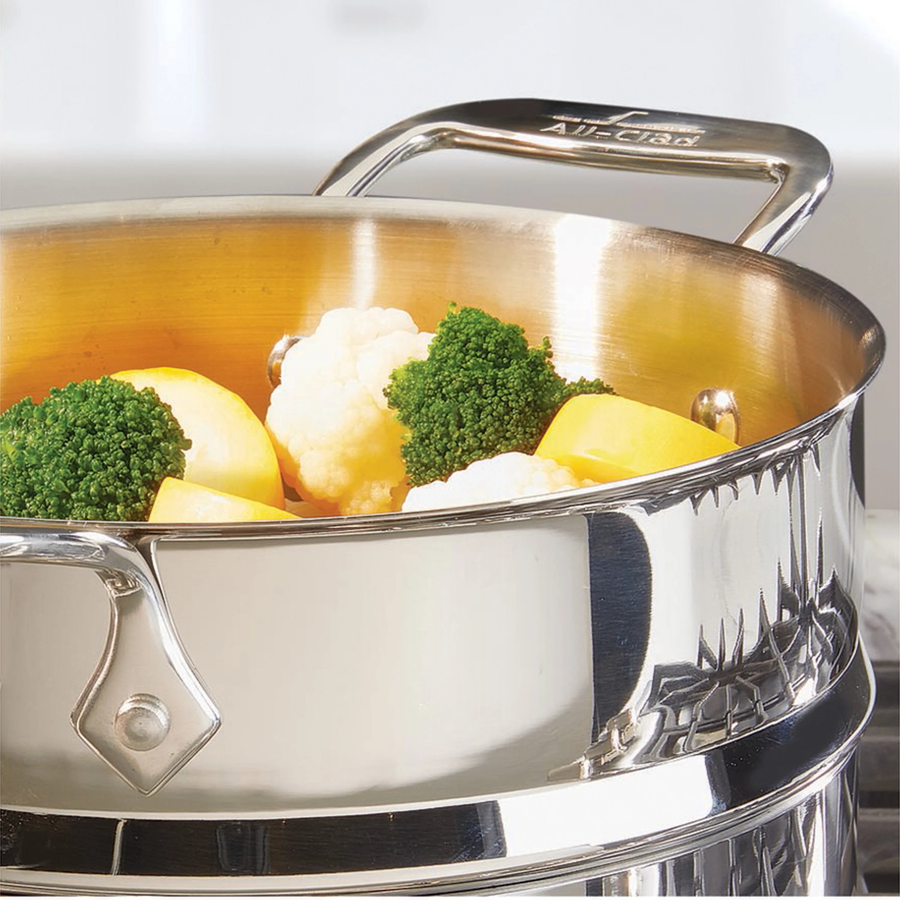 Stainless Steel Steamer, 5 quart S9735
