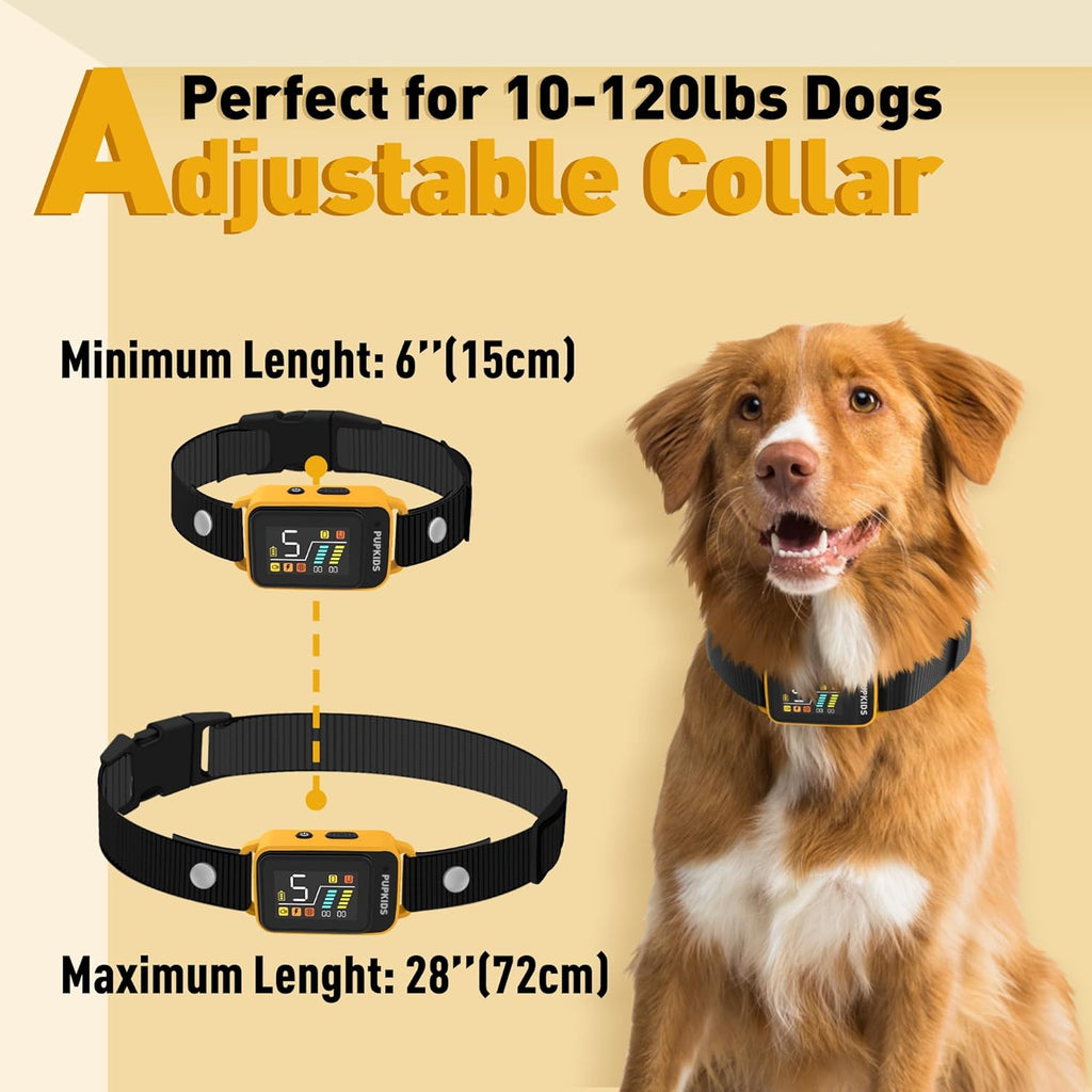 2 in1 No Shock & Safe Shock Bark Collar with 5 Sensitivities IPX7 Waterproof Rechargeable Anti-Barking Device D156063