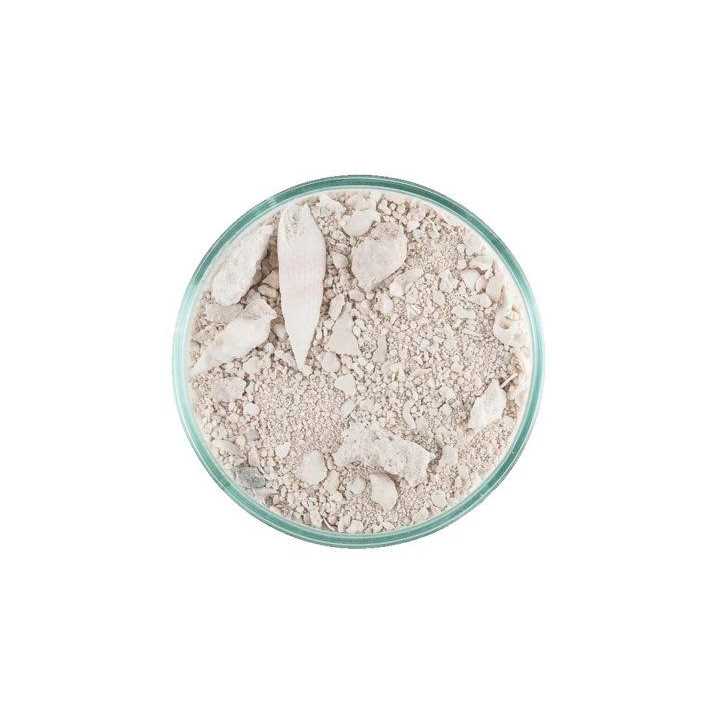 Caribbean Live Aquarium Sand O6383