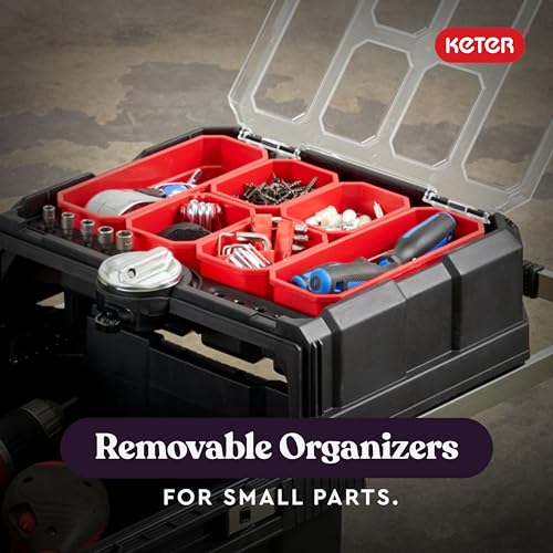 Black Resin Rolling Tool Box with Locking System and Removable Bins N8400