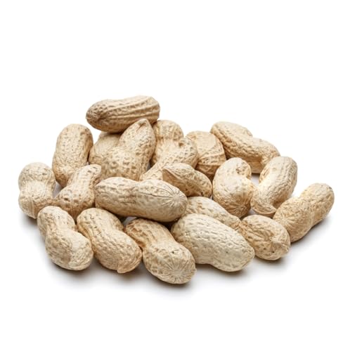 Raw Peanuts (12 LB Pail) O52726