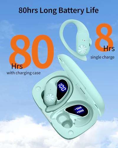 Black Bluetooth Wireless Earbuds with Earhook L5911