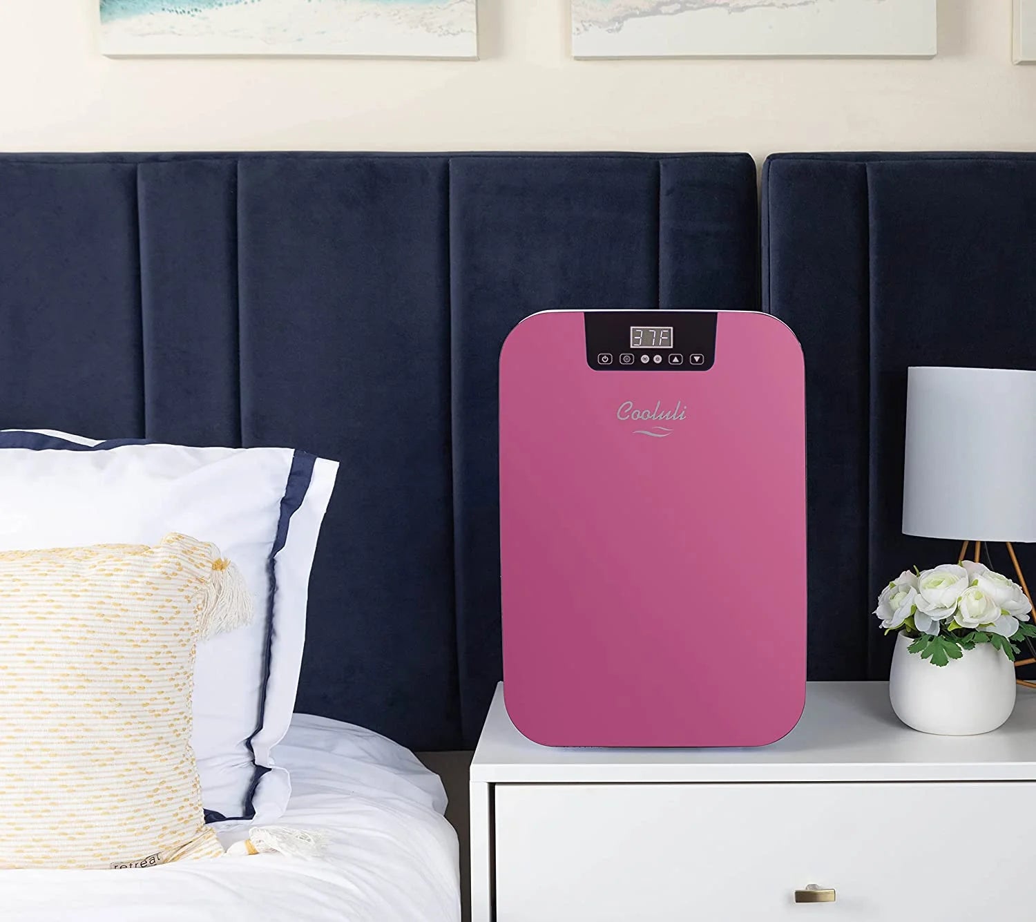 20L Mini Fridge with Glass Front and Digital Temperature Control Z43573