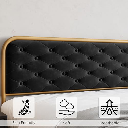 Queen Size Velvet Upholstered Bed Frame with Button Tufted Headboard, Gold-Black P3161