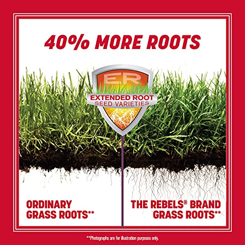 40 lb Tall Fescue Grass Seed Mix E94846