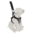 Travel Harness for Dogs R906622