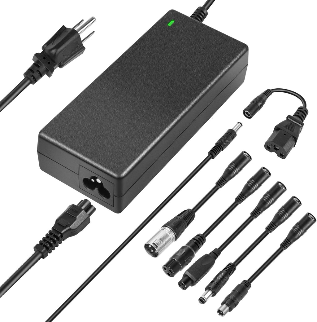 54.6V 2A Fast Charger for 48V Lithium Battery J728