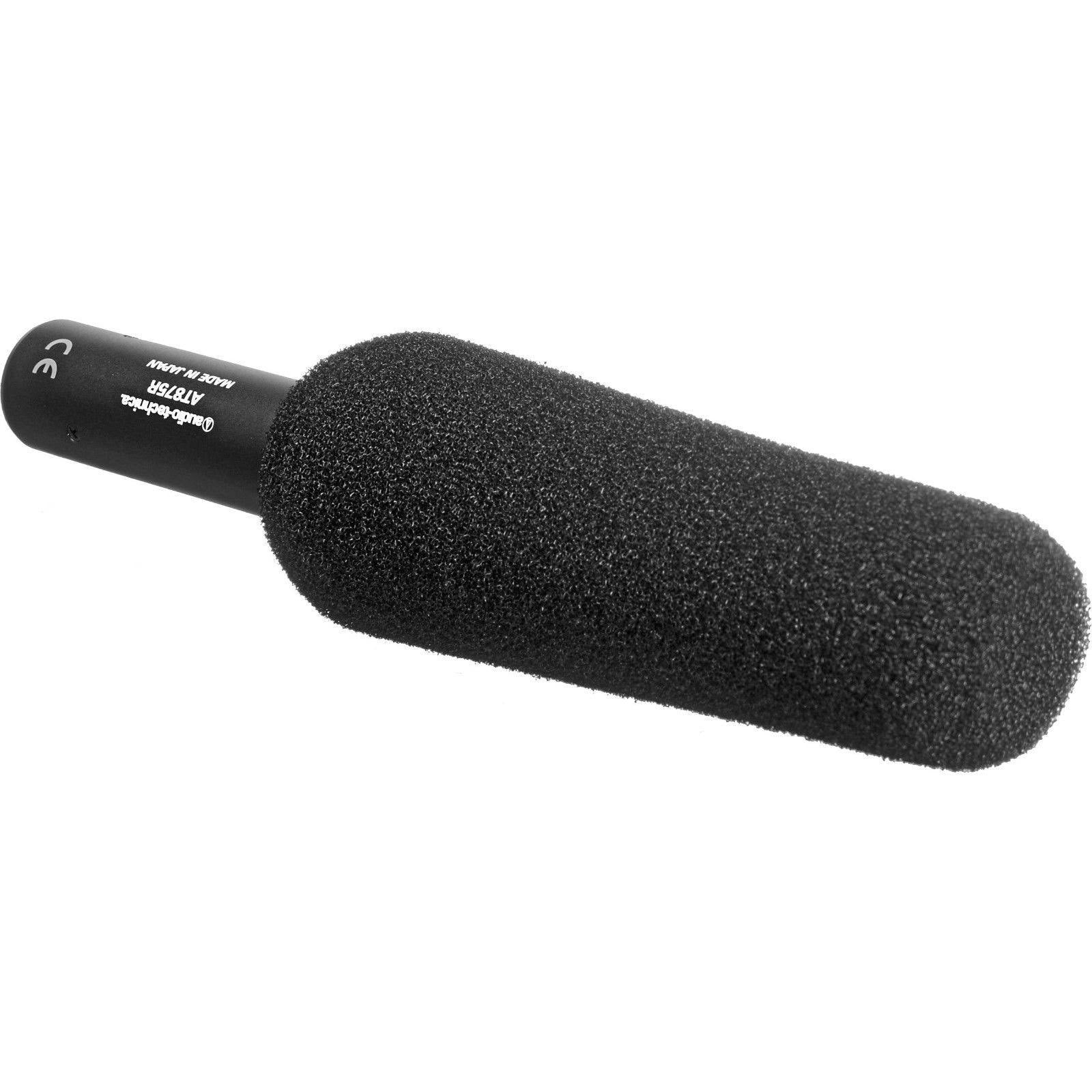 Microphone T80912