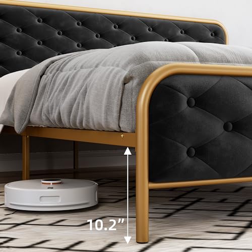 Queen Size Velvet Upholstered Bed Frame with Button Tufted Headboard, Gold-Black P3161