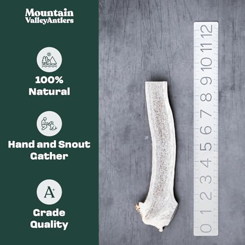 100% Natural Elk Antlers for Dogs - Whole Small (3 Pack) U900232