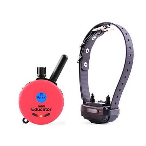 1/2 Mile Remote Dog Training System Bundle Q4745