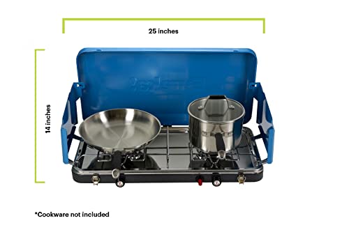 Portable 2-Burner Propane Camping Stove H549968