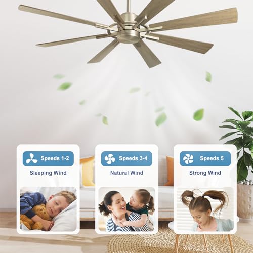 Large 60" Low Profile Indoor Ceiling Fan with Light and Remote Control, Black and Gold B68016