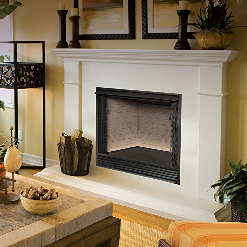 Dual Fuel Ventless Gas Firebox Insert with Mantle Q3089