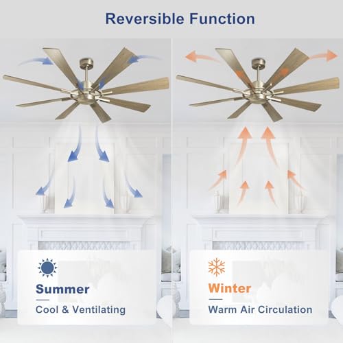 Large 60" Low Profile Indoor Ceiling Fan with Light and Remote Control, Black and Gold B68016