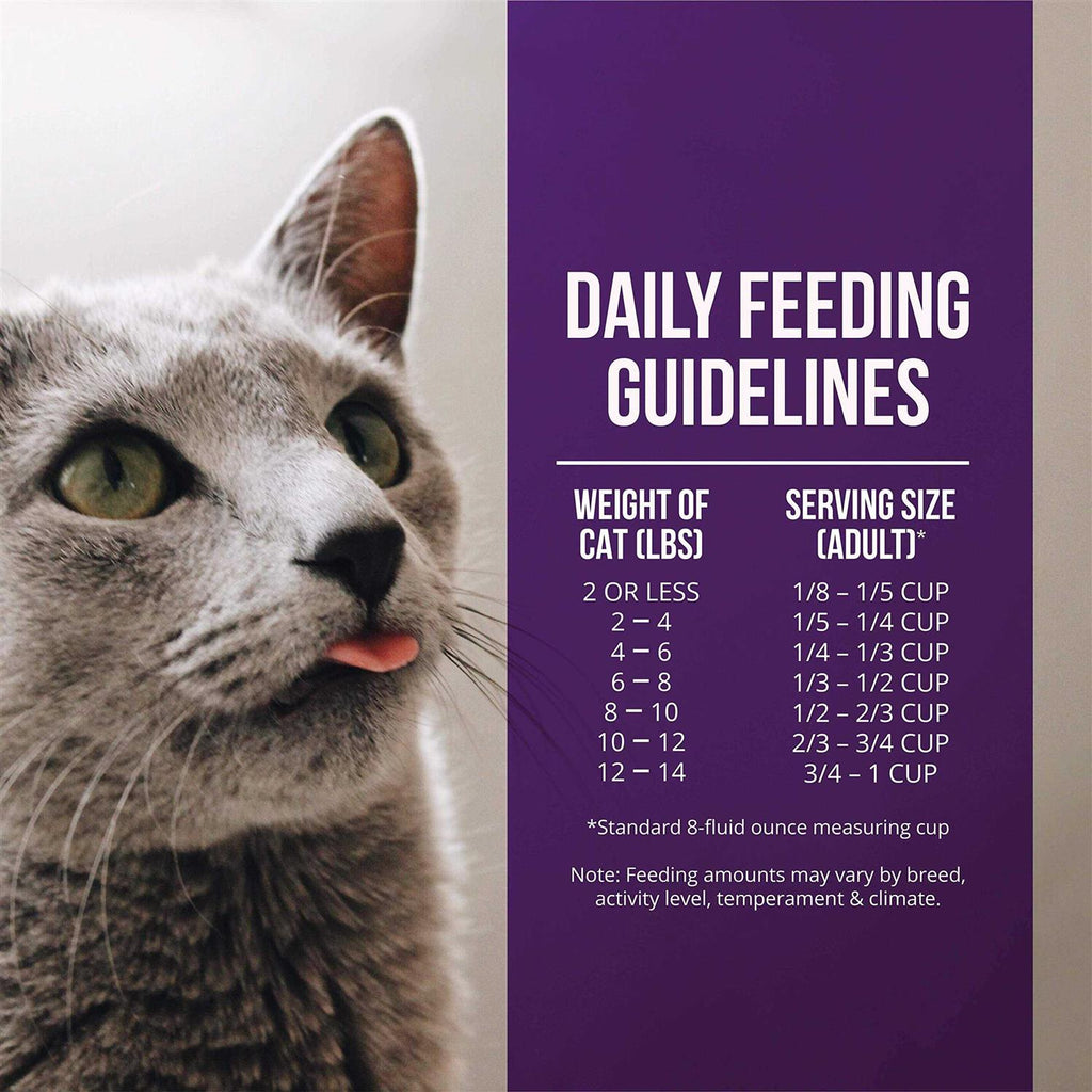 Quail & Duck Meal Dry Cat Food T9198
