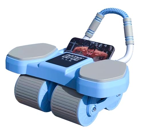 Blue Ab Roller Wheel I514