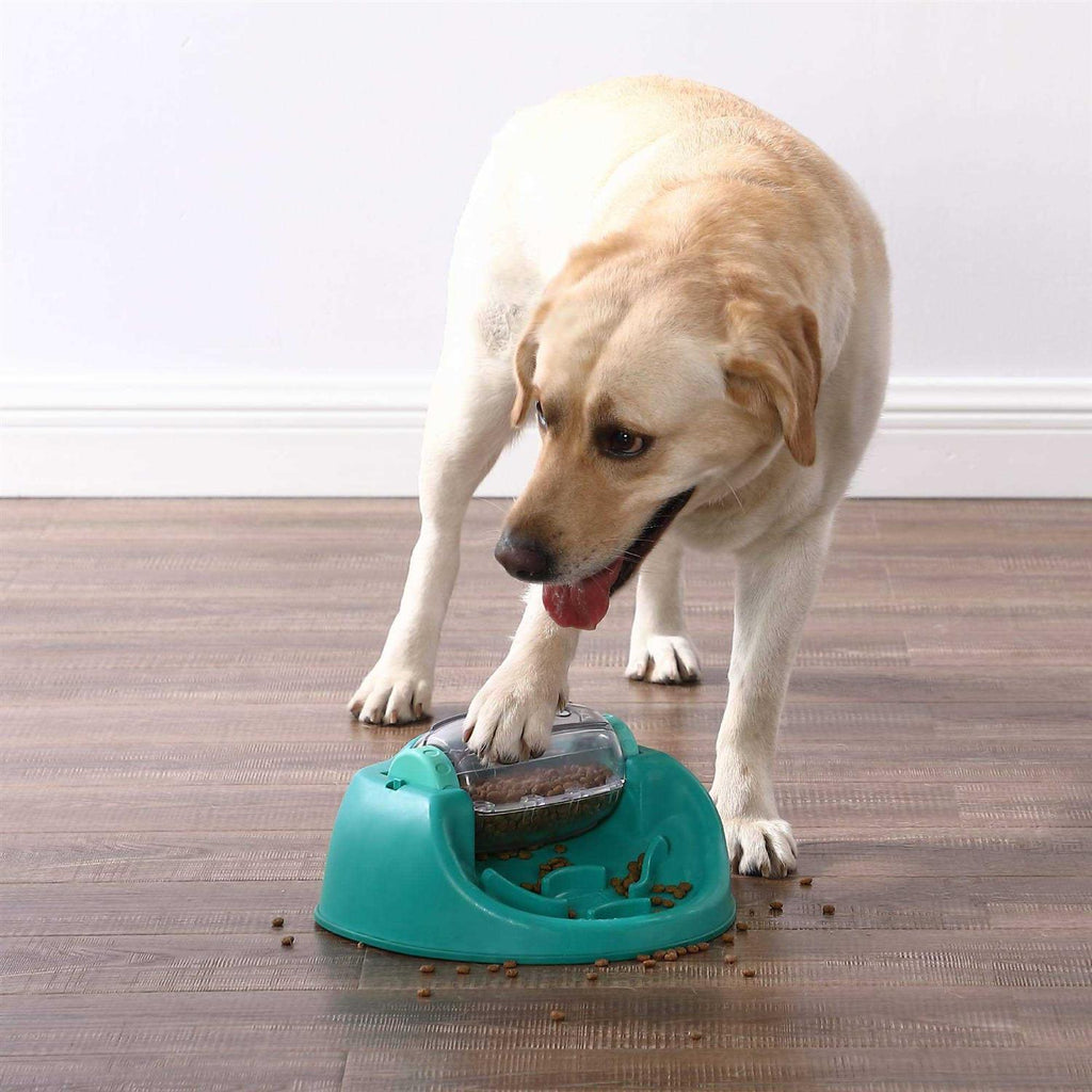 Puzzle Dog Toy H664