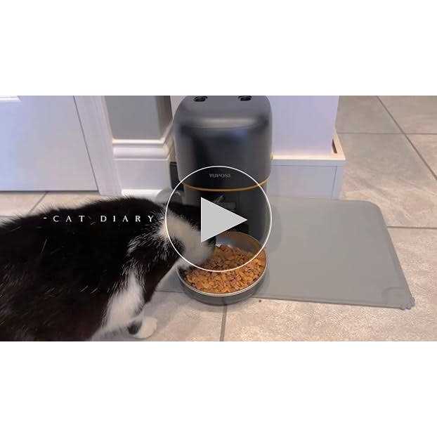 Automatic Cat Feeders 8cup/68oz Cat Food Dispenser W1409