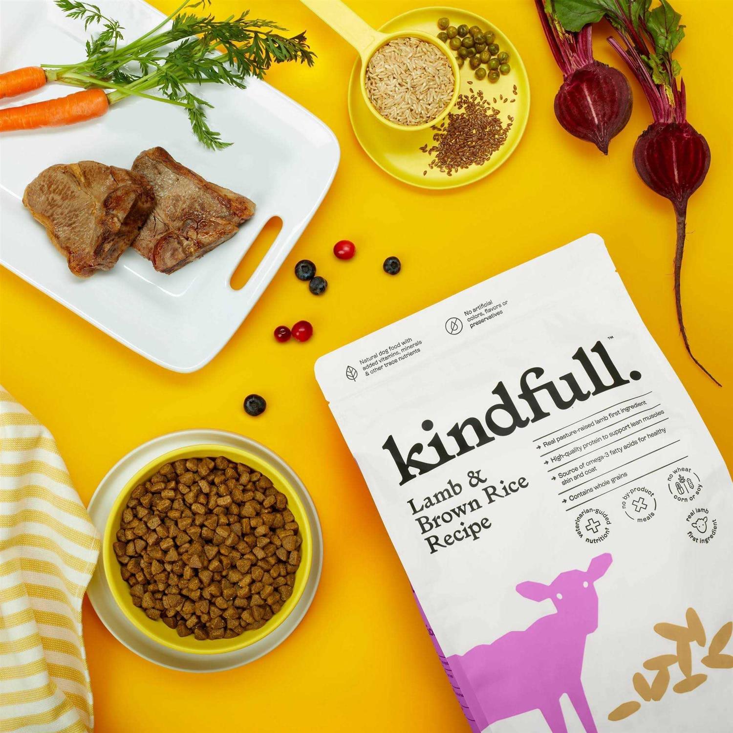 Lamb & Brown Rice Recipe Dry Dog Food K22141