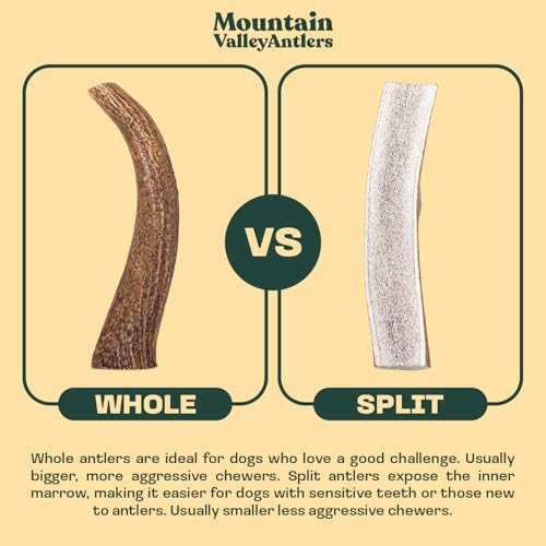 100% Natural Elk Antlers for Dogs - Whole Small (3 Pack) U900232